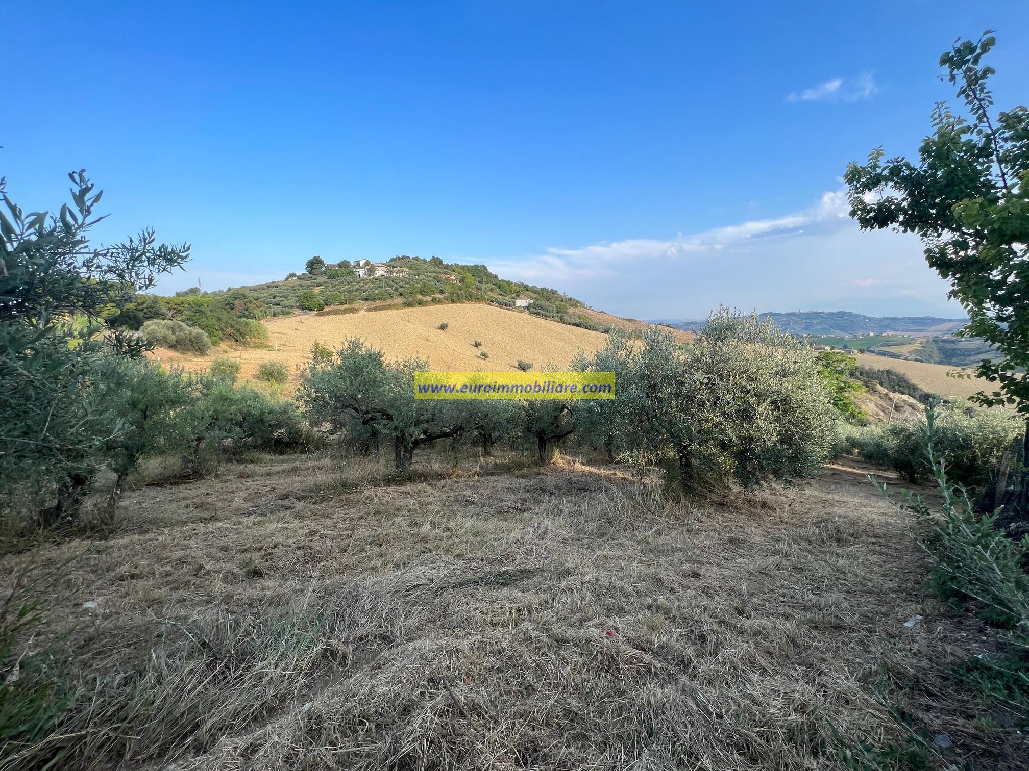 TERRENO EDIFICABILE IN CONTRADA CAVALIERI