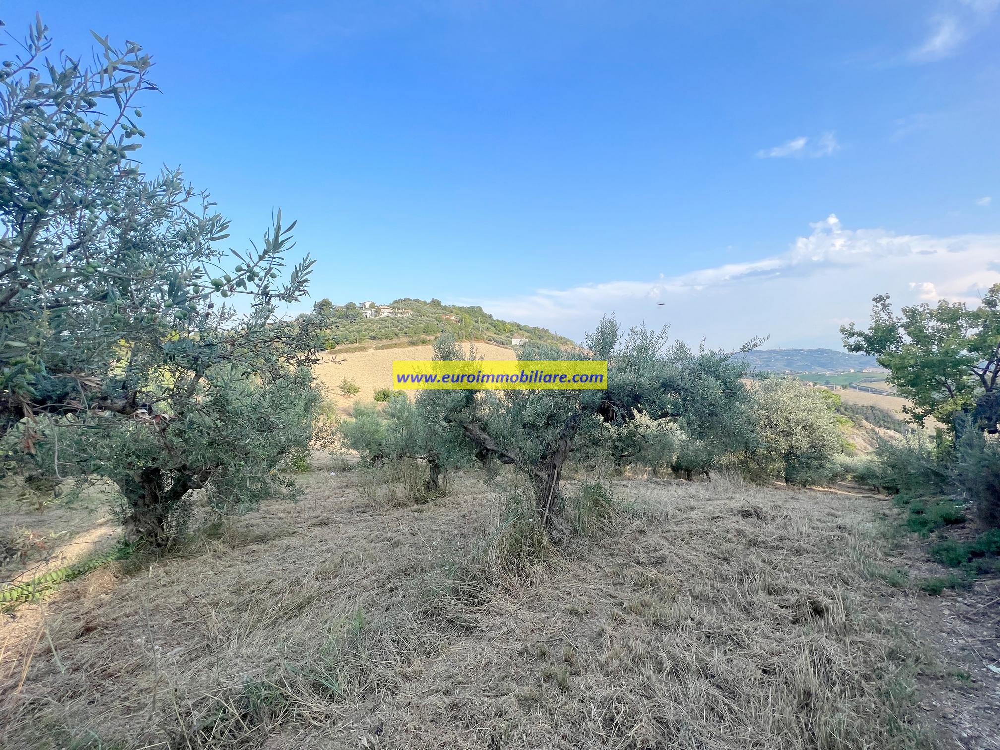 TERRENO EDIFICABILE IN CONTRADA CAVALIERI