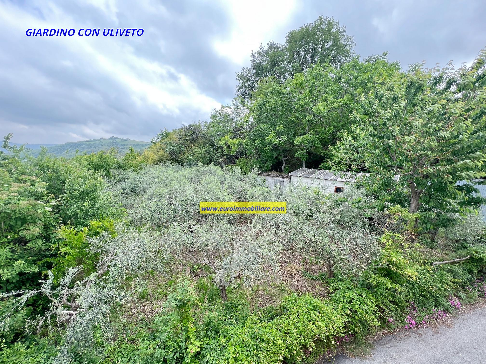 TERRA-TETTO CON GARAGE E PICCOLO ULIVETO