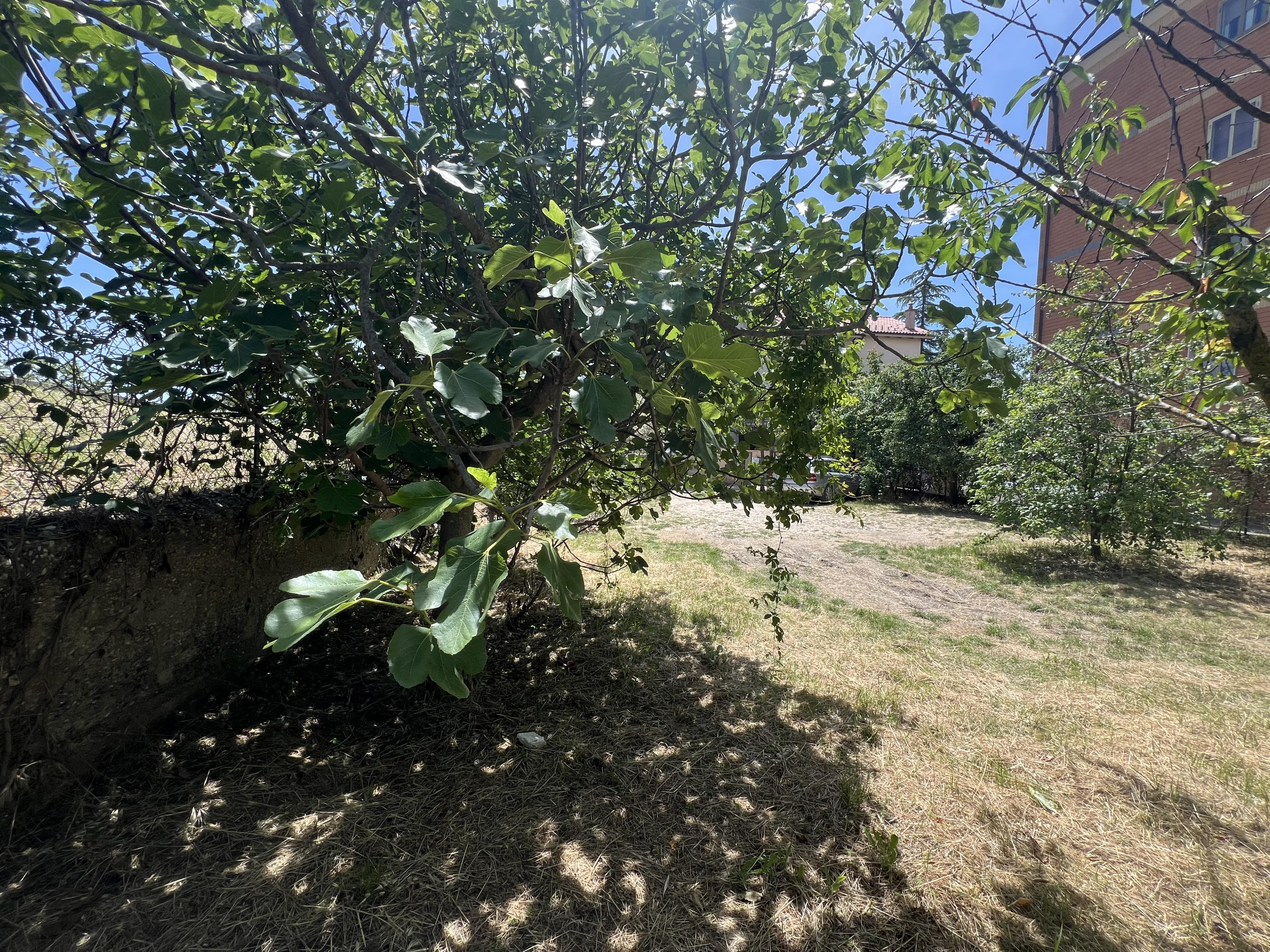 UNICO TERRENO EDIFICABILE FRONTE OSPEDALE