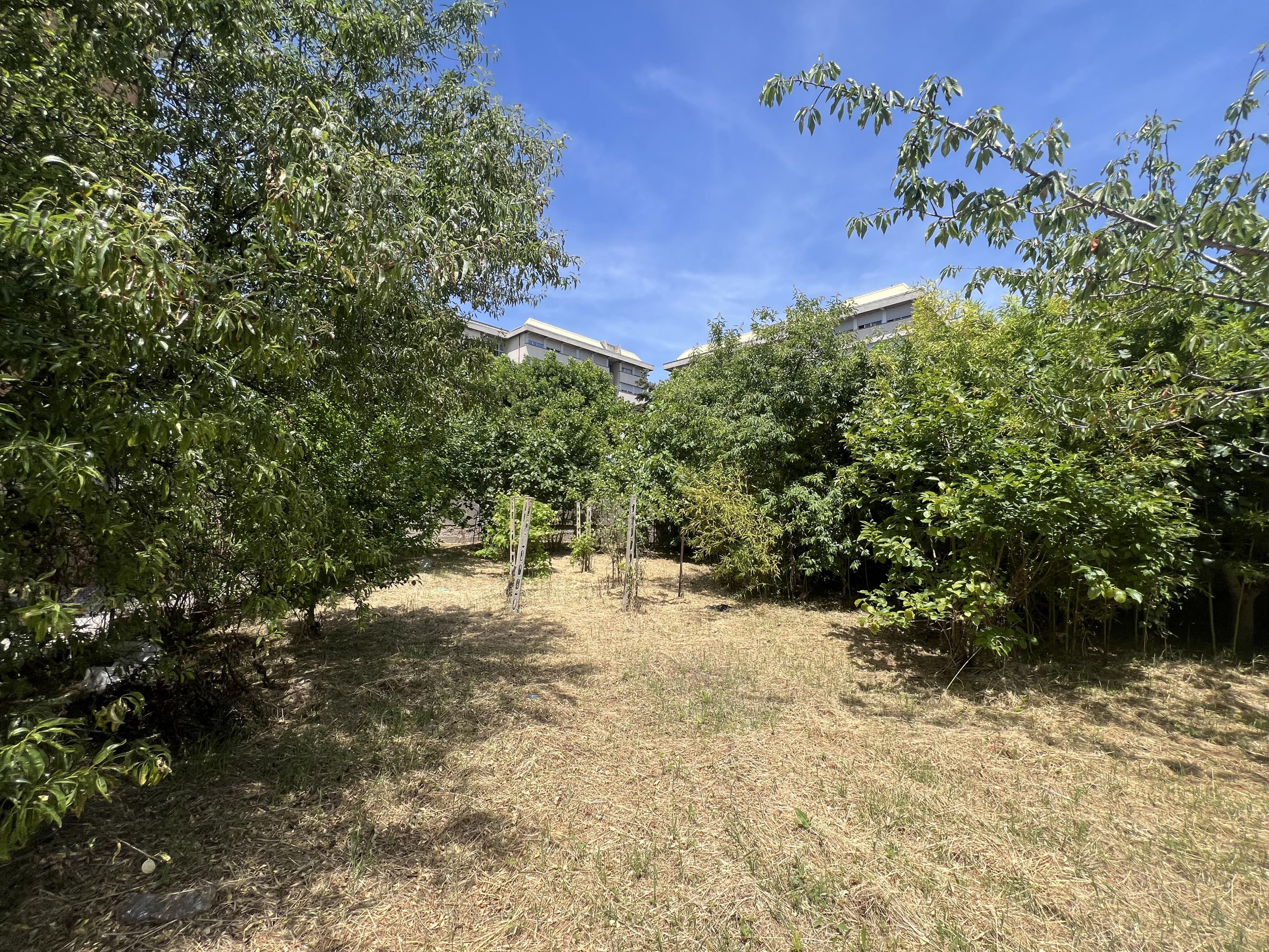 UNICO TERRENO EDIFICABILE FRONTE OSPEDALE