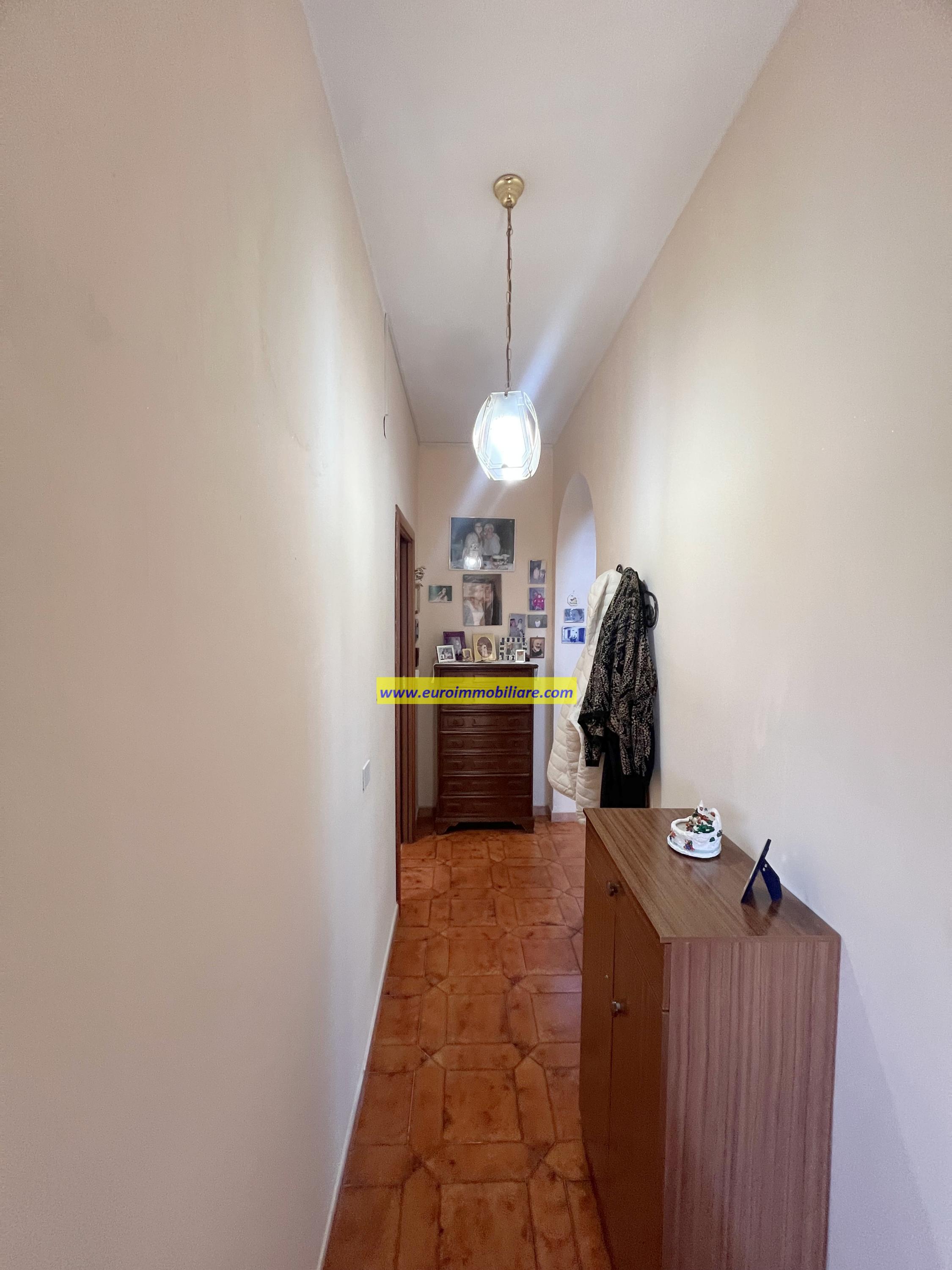 Casa Singola con un ettaro di Uliveto