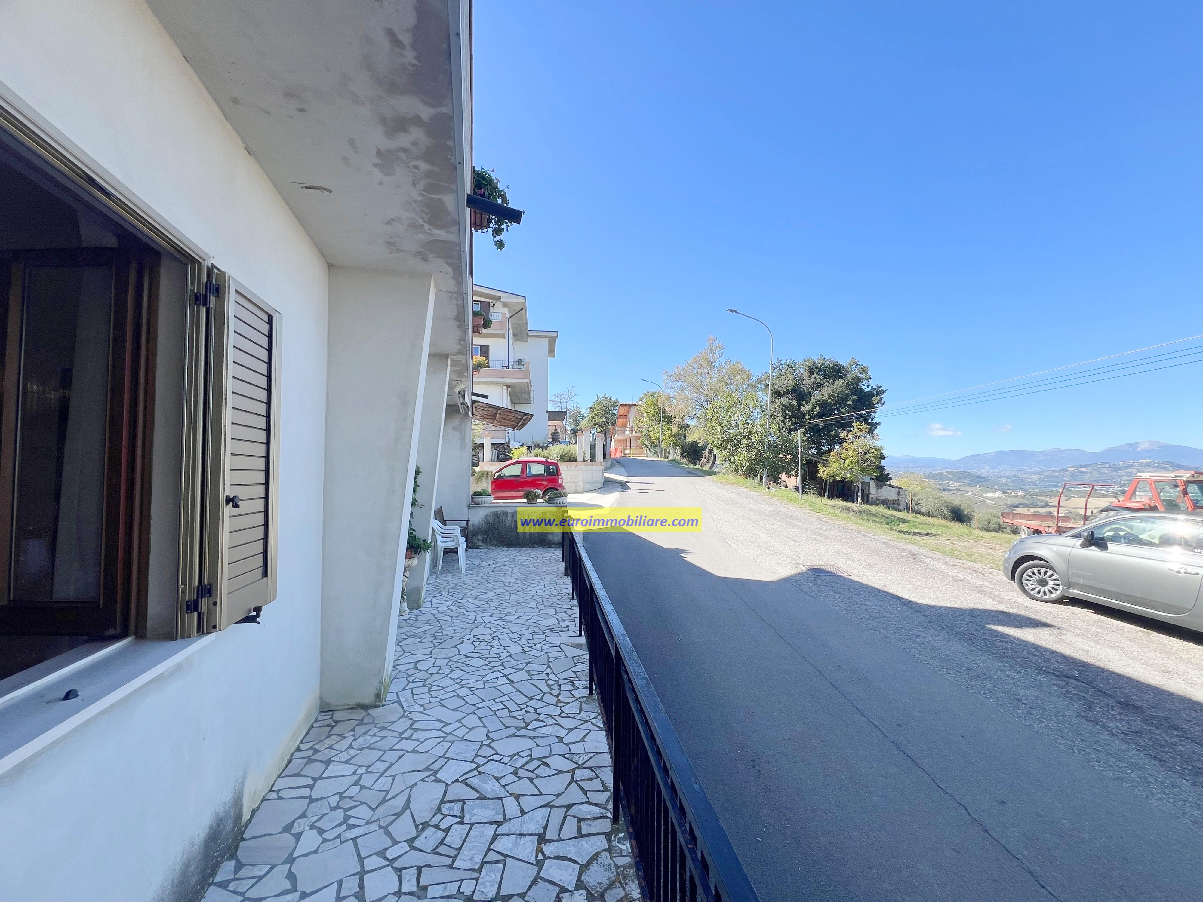 Casa Singola con un ettaro di Uliveto