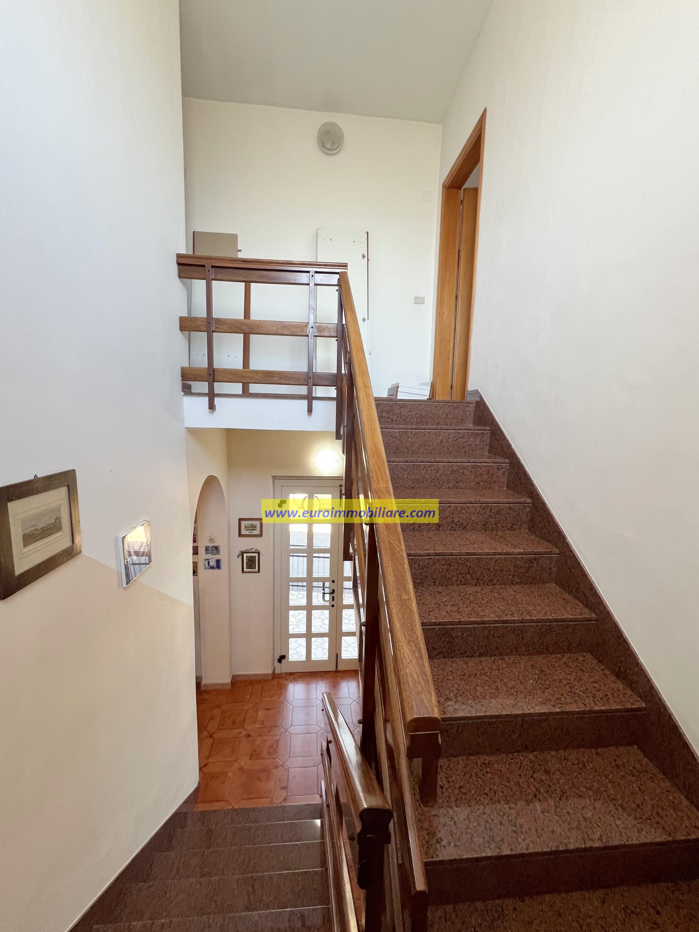Casa Singola con un ettaro di Uliveto