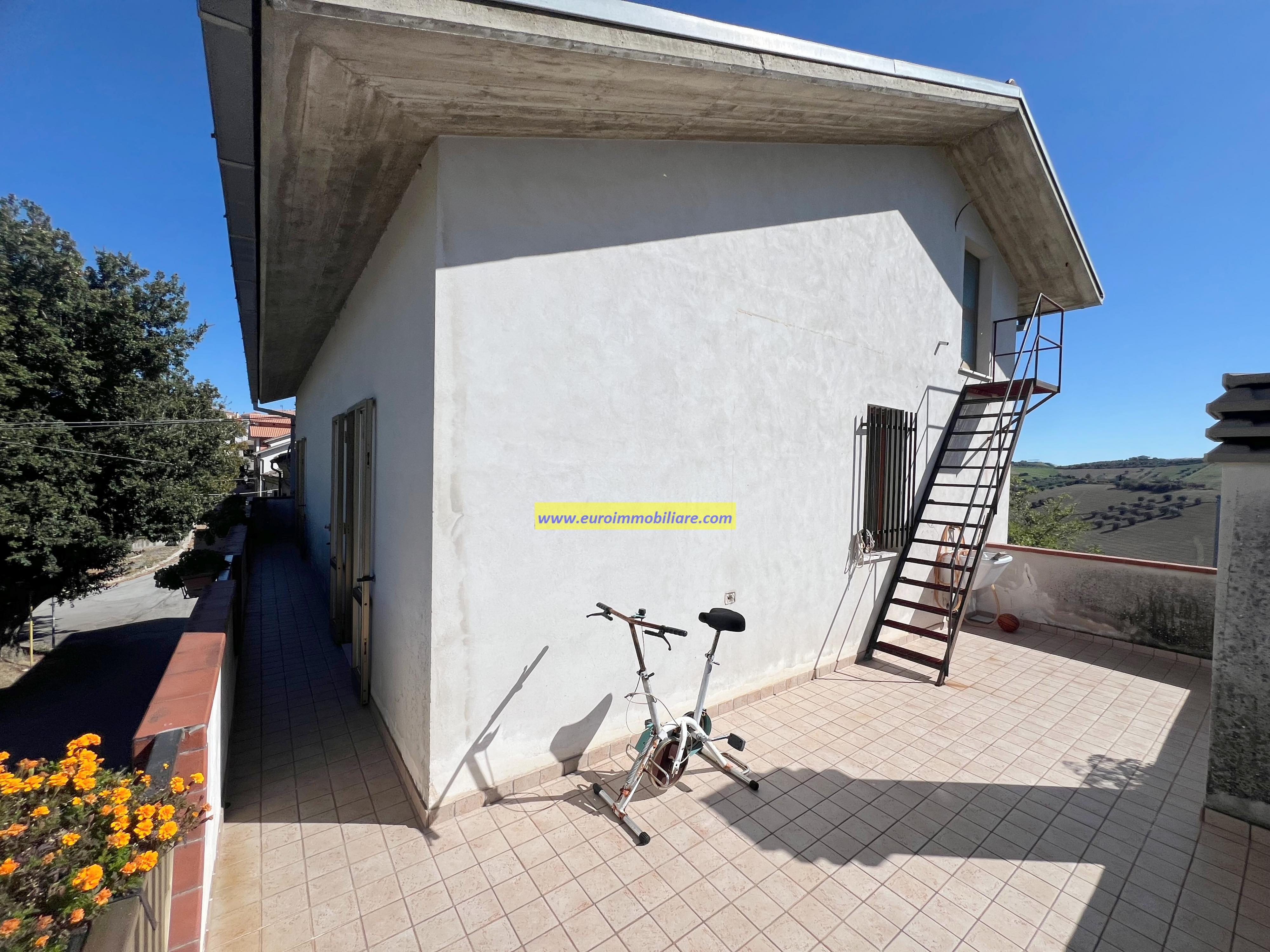 Casa Singola con un ettaro di Uliveto