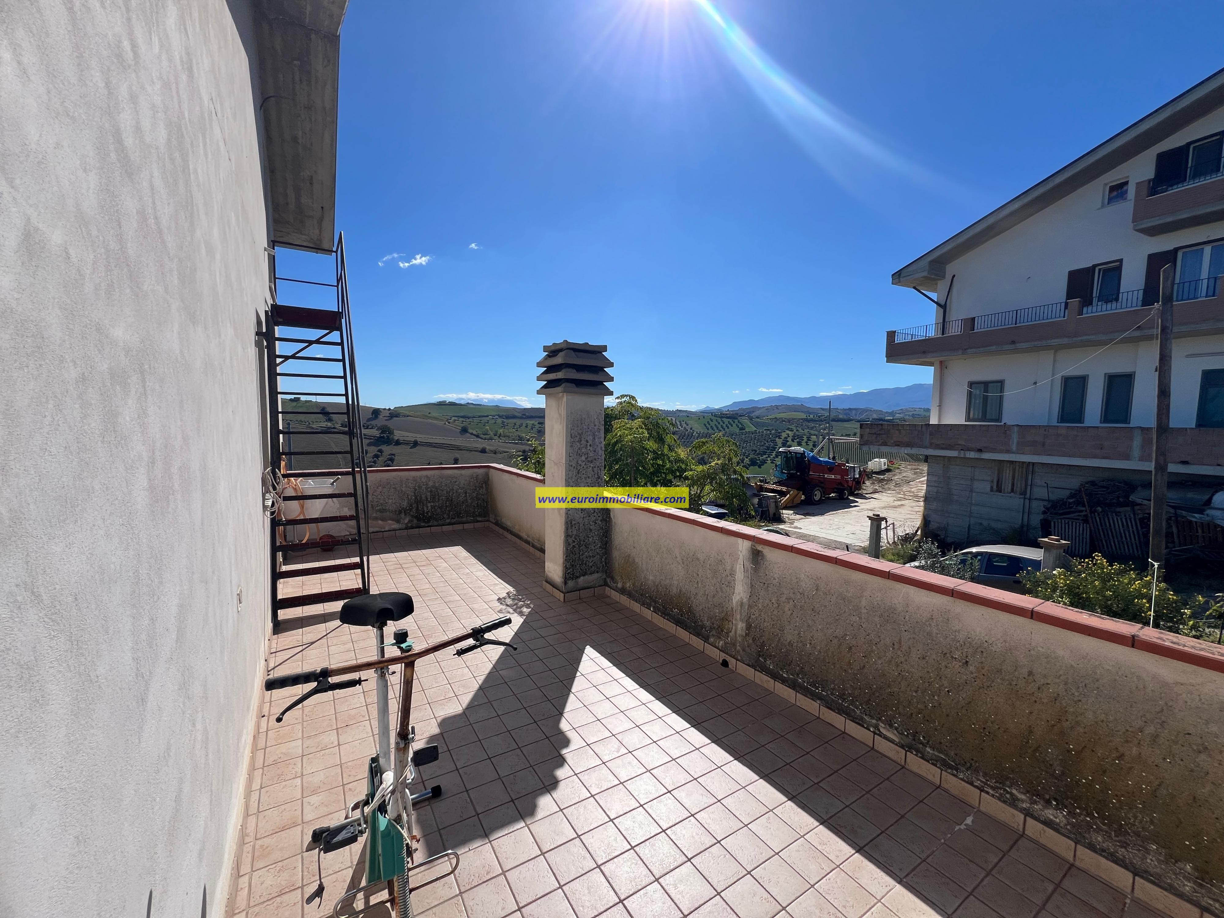 Casa Singola con un ettaro di Uliveto